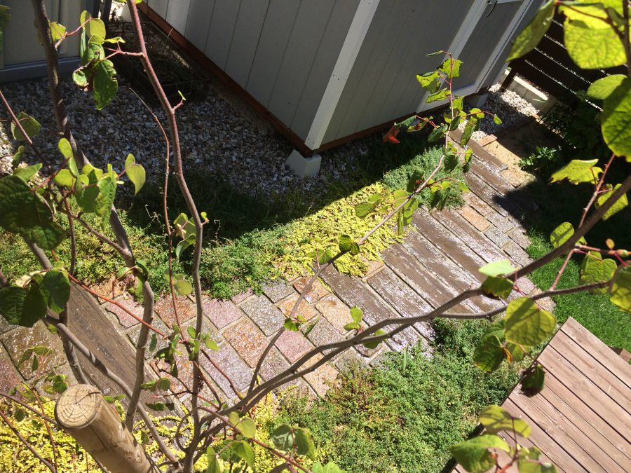 石畳園路のある庭 福井市ｍ様邸 福井でガーデニング お庭づくりなら ときわガーデン 彩園