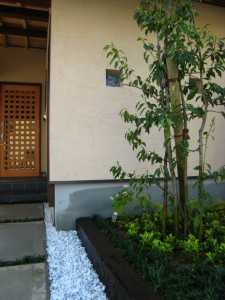 玄関脇のシンボルツリー／福井市Ｎ様邸
